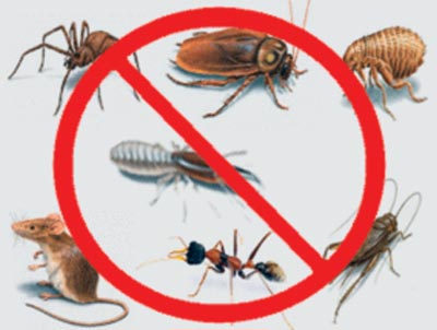 Household Pest Control Dombivli